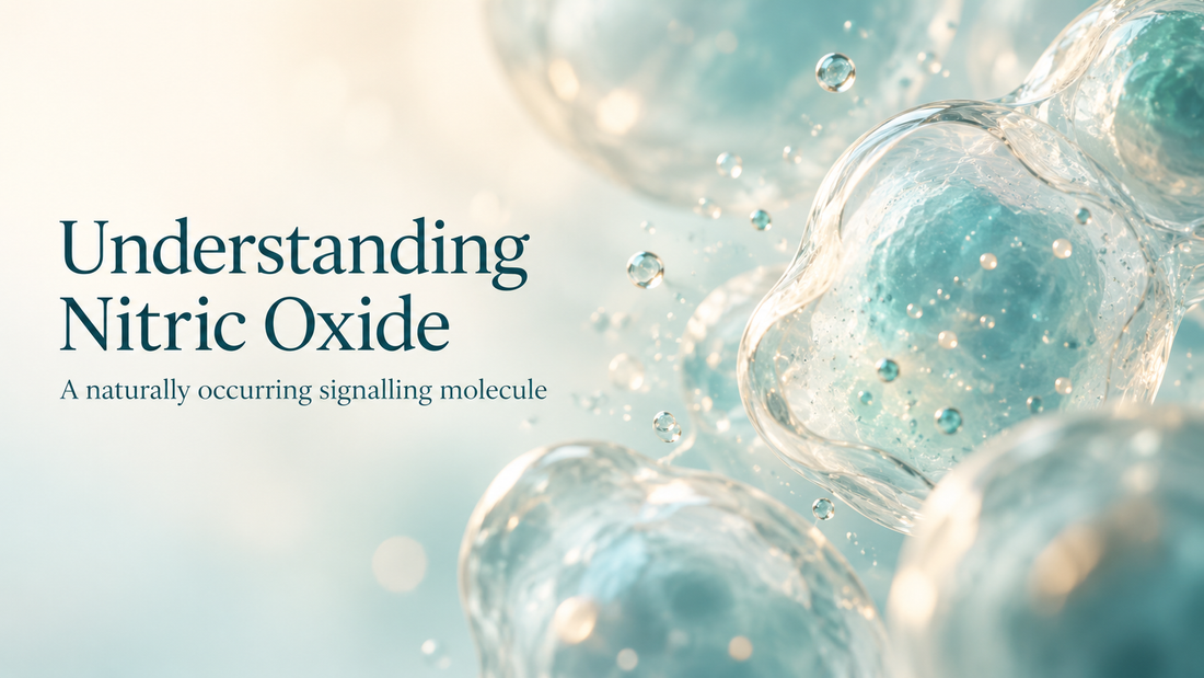 Understanding Nitric Oxide
