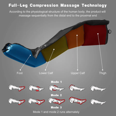 NiOx Circulation Leg Recovery system